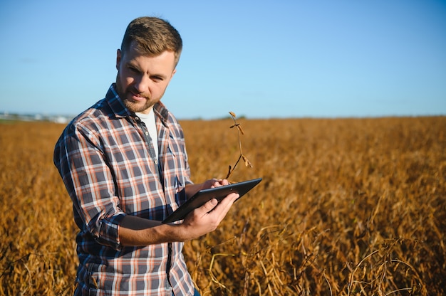 Ingeniero agrónomo inspeccionando cultivos de soja que crecen en el campo agrícola. Concepto de producción agrícola. joven agrónomo examina la cosecha de soja en el campo en verano. Granjero en campo de soja