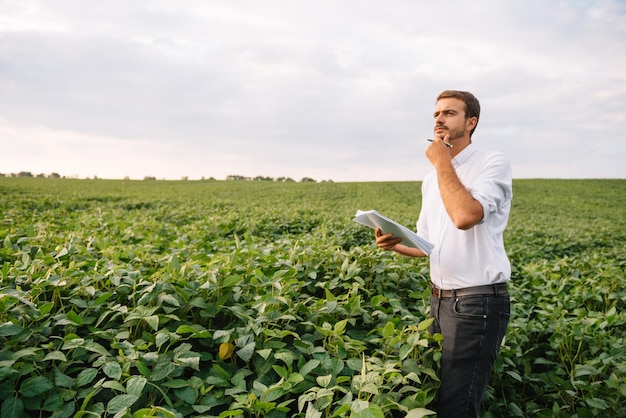 Ingeniero agrónomo inspeccionando cultivos de soja que crecen en el campo agrícola. Concepto de producción agrícola. joven agrónomo examina la cosecha de soja en el campo en verano. Granjero en campo de soja