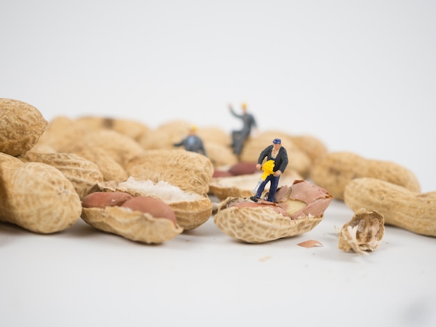 Foto ingeniero en miniatura está trabajando en frutos secos