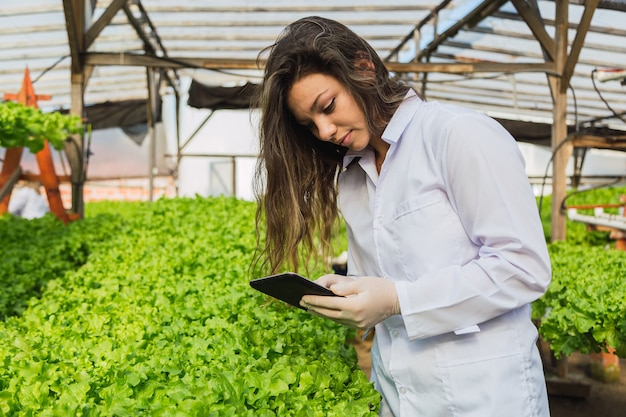 Ingenieurfrau, die eine Tablette hält und für Salatpflanzen sorgt - Junge Frau, die in einer Hydrokulturfarm arbeitet.