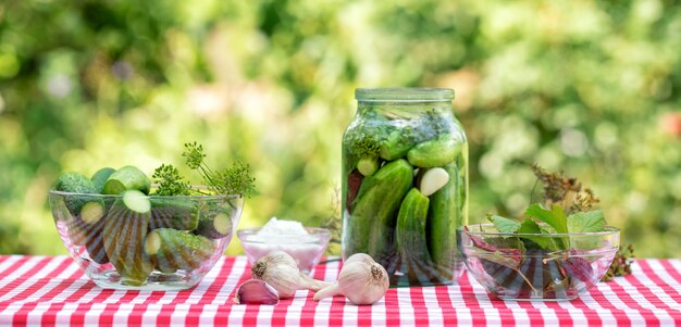 Ingredientes para la conservación de pepinos.