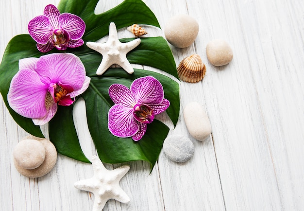 Ingredientes naturais spa com flores da orquídea