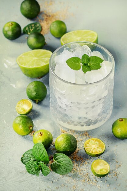 Ingredientes para o mojito