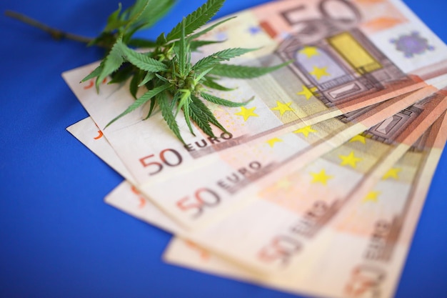 Ingresos de cannabis y billetes en euros de productos elaborados a partir del concepto de cannabis Legalización de la marihuana