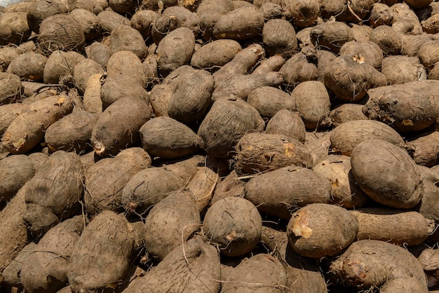 Inhames para venda em um mercado de rua no Brasil