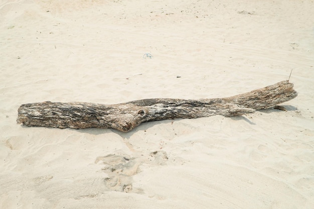 Inicia sesión en una playa de arena blanca y fina por la mañana