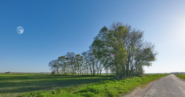 Início da primavera no campo Dinamarca Uma foto do campo no início da primavera