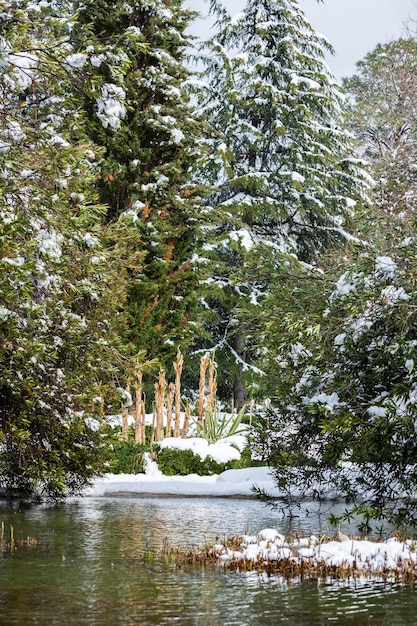 Início da primavera no parque Vista deslumbrante da lagoa Uma bela lagoa pequena no início da primavera entre árvores verdes cobertas de neve