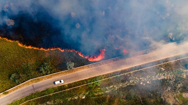 Início do incêndio em um campo gramado próximo à beira da rodovia