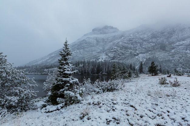 Início do inverno com a primeira neve cobrindo rochas e bosques no Parque Nacional Glacier, Montana, EUA