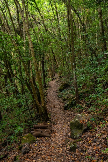 Inicio del sendero en el parque natural de Los Tinos en la costa noreste