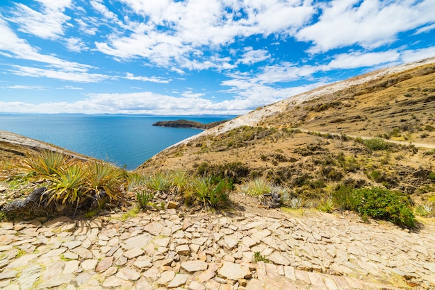 Inkaspur auf Insel der Sonne, Titicaca See, Bolivien