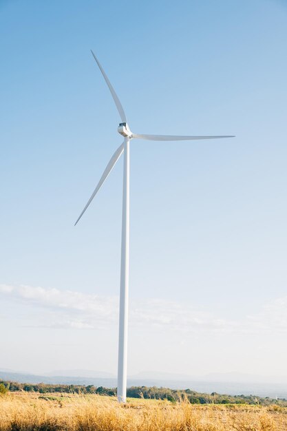 Inmitten der schönen Natur drehen sich Windmühlen auf einer Bergfarm und erzeugen sauberen Strom