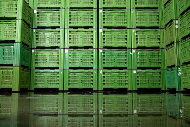 Foto innenansicht des kühlhauses mit vielen kisten voller bio-apfelfrüchte, die zur verteilung bereit sind.