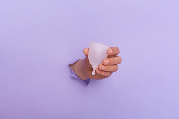 Innenaufnahme einer weiblichen Hand, die aus einem Loch aus einem violetten Hintergrund herausragt, hält eine Menstruationstasse Frauengesundheit Periode Gynäkologie