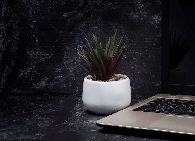 Innenbüro-Desktop-Laptop-Tastatur-Innenblume auf dem Tisch. Das Konzept der Fernarbeit ..