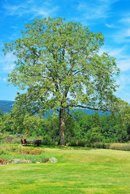 Innenhof in einem Schweizer Dorf in Yverdon-les-Bains im Bezirk Jura Nord Vaudois des Kantons Waadt in der Schweiz.