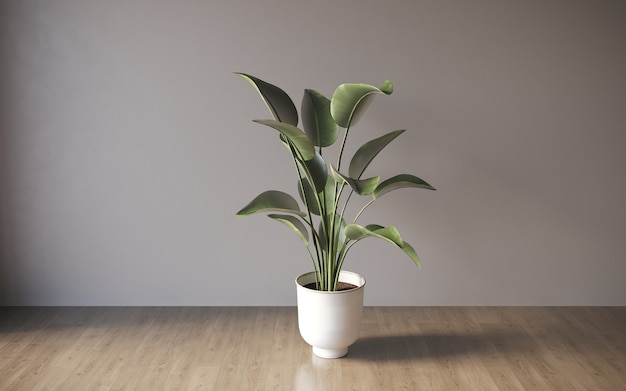 Innenraum mit dekorativen Zimmerpflanzen auf leerem Wandhintergrund 3D-Illustration cg render