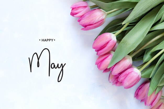 Inschrift Happy May Tulip Flower Frühlingshintergrund