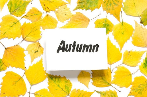 Inscrição Outono folhas de outono amarelas isoladas na imagem branca