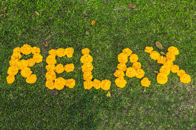 Inscrição relaxante na grama com flores amarelas.