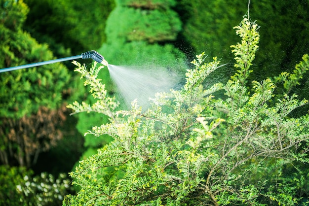 El insecticida en el jardín