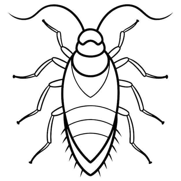 un insecto con un insecto y la palabra insecto en él