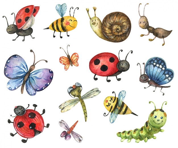 Insectos de dibujos animados brillantes. Ilustración de una mariposa, oruga, caracol, abeja, libélula, mariquita, hormiga