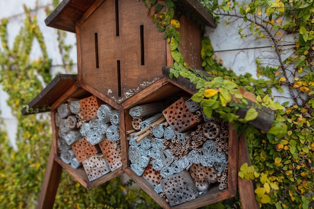 Insectos domésticos, abejas y bichos en el jardín Salvando a las abejas y la ecología global