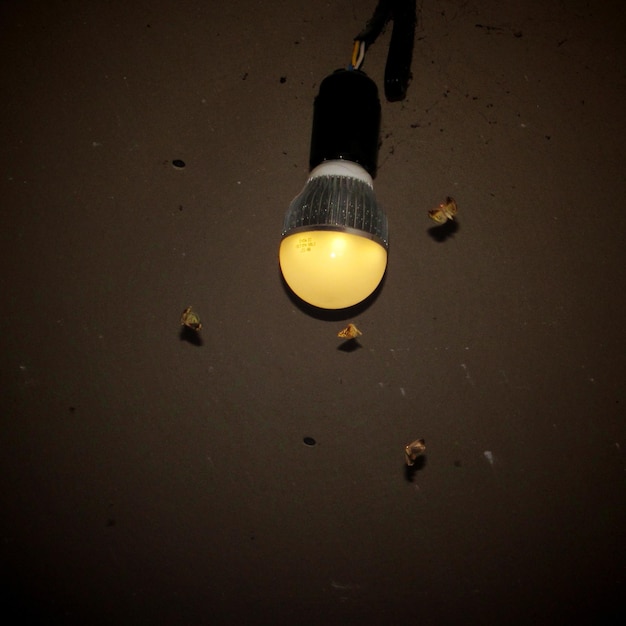 Foto insectos flotando junto a una bombilla iluminada contra la pared