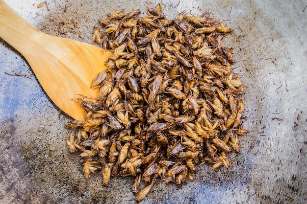 Insectos fritos como un aperitivo