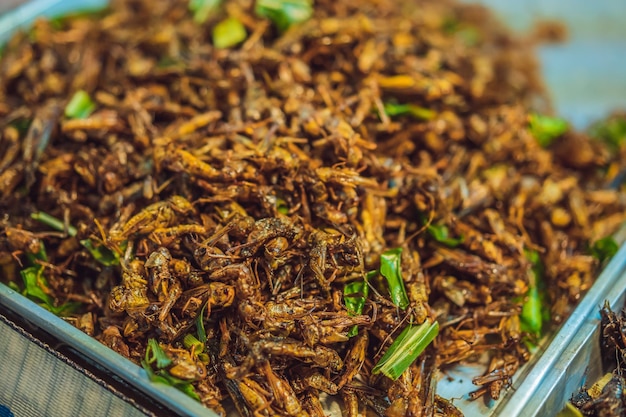 Insectos fritos en el mercado de la calle peatonal Phuket, Tailandia