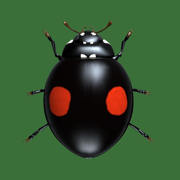 Los insectos son mariquitas ilustración 3d