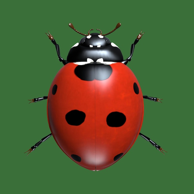 Insekten sind Marienkäfer 3D-Darstellung
