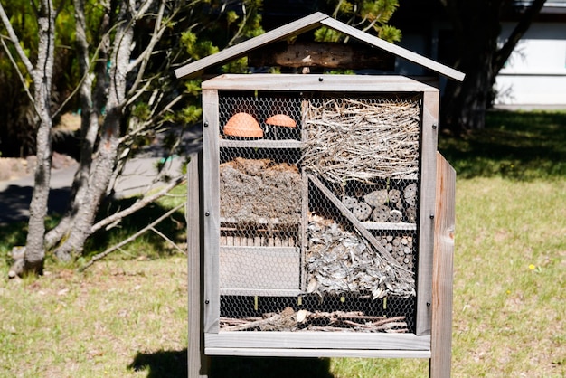 Insektenhauswanze Holzhotel Marienkäfer Biene Heimat Schmetterlingswinterschlaf und ökologischer Garten