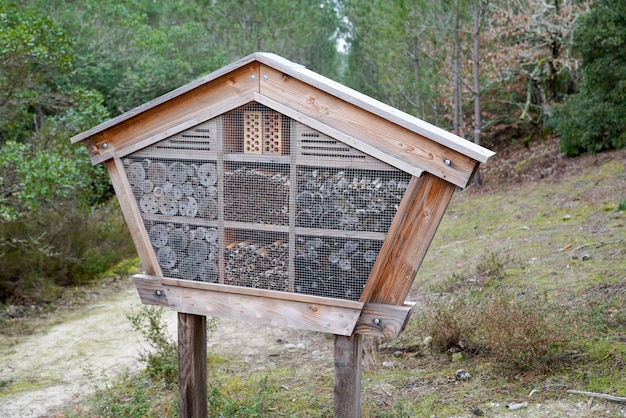 Insektenhotels bieten Bienen und anderen Insekten im Naturparkwald Schutz und Nisthilfe