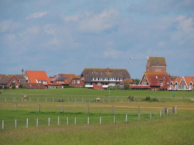 Foto insel baltrum