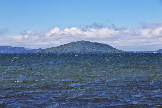 Insel im See Rotorua, Neuseeland