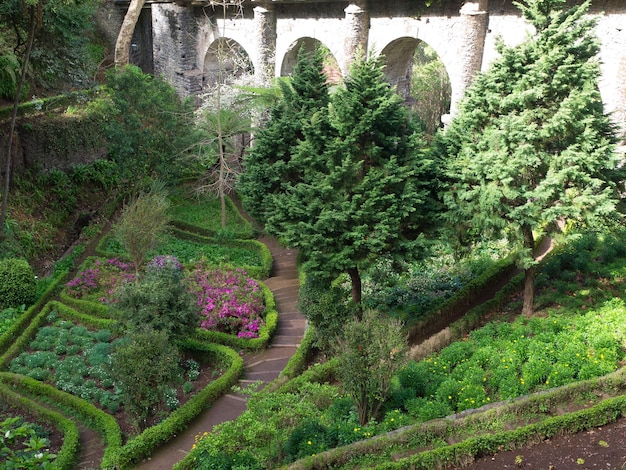 Insel Madeira