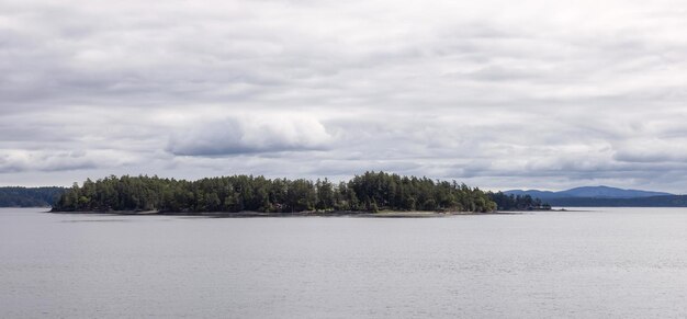 Insel mit Bäumen, umgeben von Meer und Bergen Sommersaison