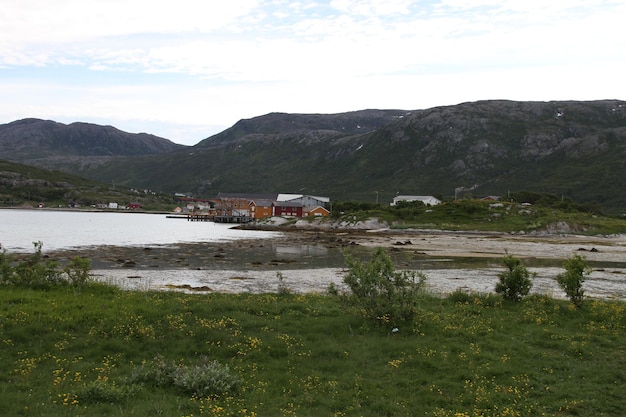 Inseln Kvaloya und Senja Norwegen