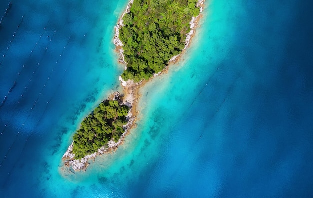 Inseln mit Bäumen mitten im Meer Türkisfarbenes Wasser im Mittelmeer Sommerlandschaft in Kroatien aus der Luft