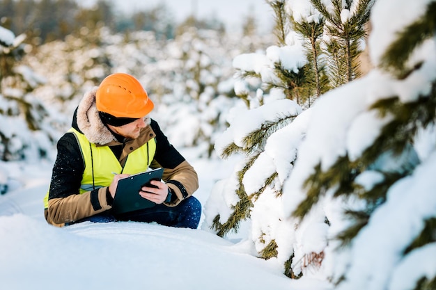 El inspector forestal inspecciona las tierras forestales