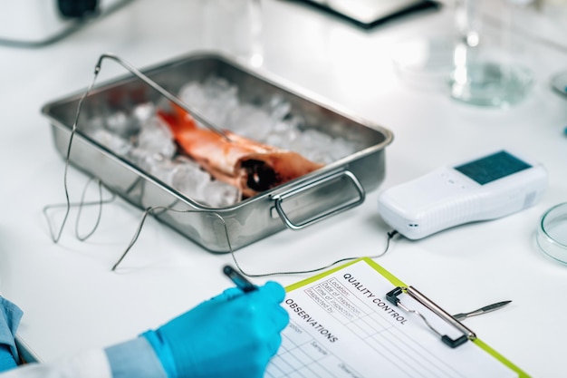 Inspector de seguridad alimentaria de control de calidad de pescado en busca de la presencia de metales pesados en peces marinos capturados en la naturaleza