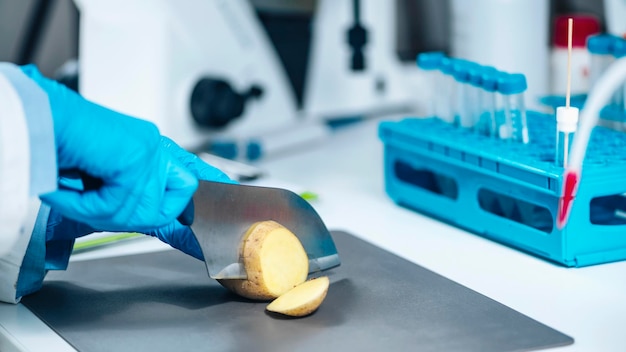 Inspector de Seguridad Alimentaria en Laboratorio Buscando Presencia de Nitratos en Papas