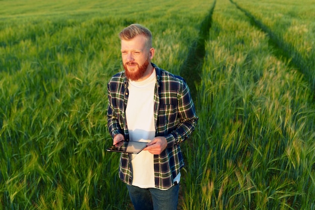 Inspektion eines Weizenfeldes Ein junger Agronom mit einem Tablet auf dem Hintergrund eines grünen Feldes Ernährungsprobleme in der Welt