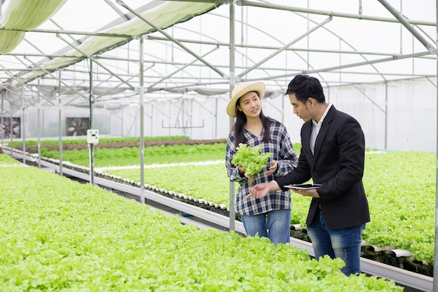 Inspetor de qualidade e agricultora na fazenda de hidroponia