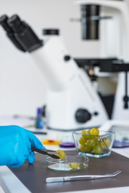 Foto inspetor de segurança alimentar trabalhando em laboratório