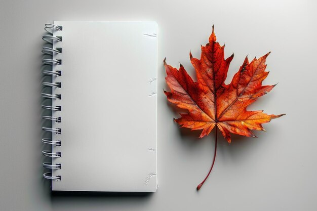 La inspiración de otoño hoja de arce en un cuaderno en blanco