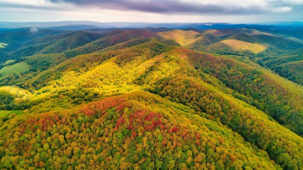 Una inspiradora vista aérea de verdes colinas que ilustran la cautivadora belleza del tapiz de la naturaleza